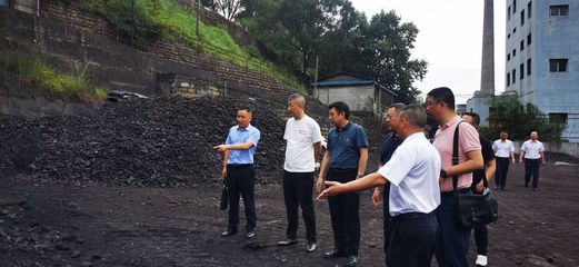 省局價監處檢查督導廣元煤炭價格工作