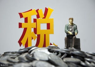 請(qǐng)人代增值稅開專用發(fā)票,竟然被判無(wú)罪