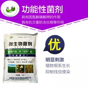 生物肥料與生物制劑 現(xiàn)代農(nóng)業(yè)的綠色引擎