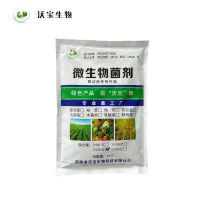 解淀粉芽孢桿菌 多功能生物肥料，賦能綠色農業