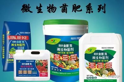 科學(xué)施用菌肥 掌握7大關(guān)鍵注意事項(xiàng)與規(guī)避6大無效原因