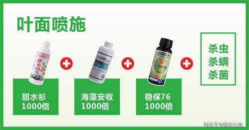 微新生物柑橘公開課 11月份沃柑關(guān)鍵管理要點(diǎn)與生物制劑營養(yǎng)方案