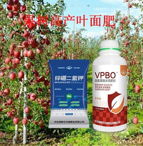 為峰肥業(yè) 專注花芽分化與著色促進(jìn)，引領(lǐng)生物肥料技術(shù)創(chuàng)新